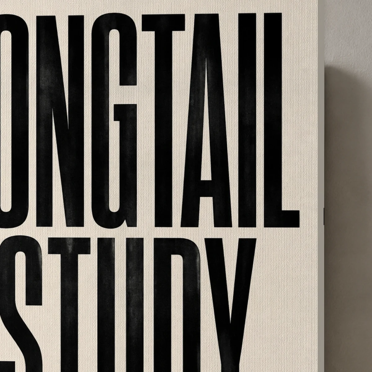Longtail Study canvas surface and wrapped edge in a studio detail photograph