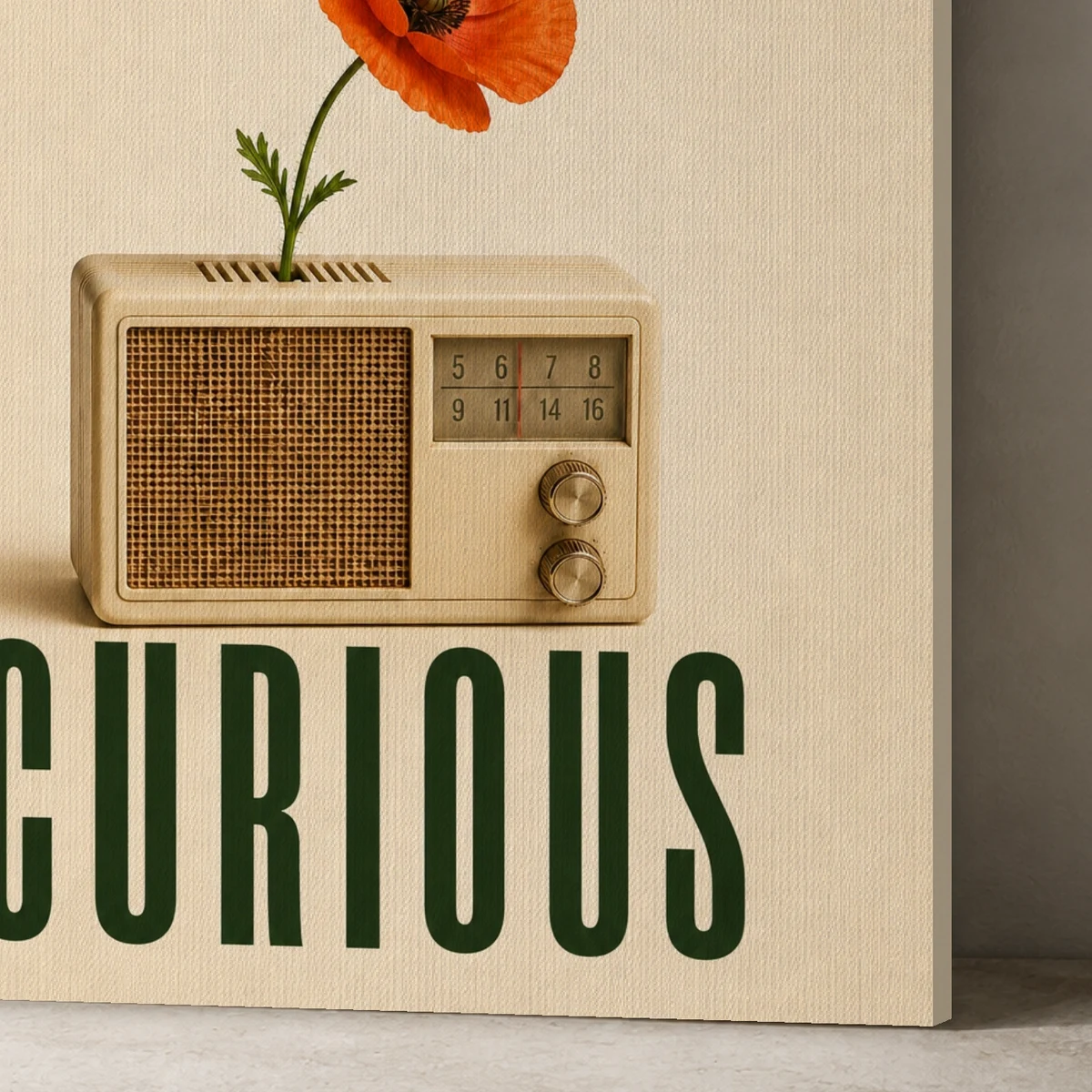 Stay Curious canvas surface and wrapped edge in a studio detail photograph